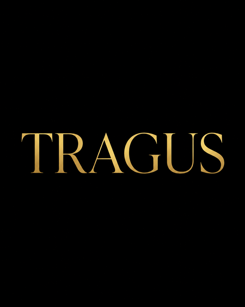 Tragus Earrings